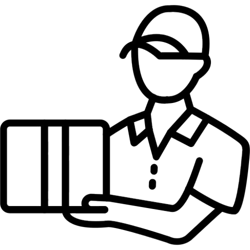 Domestic Courier
                        Services